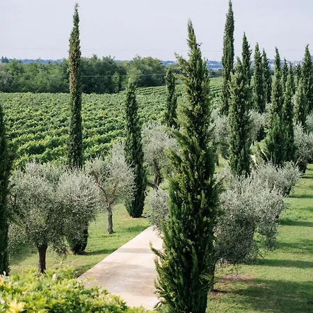Dimora Buglioni Wine Relais San Pietro in Cariano