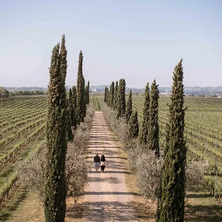 مزرعة للإقامة Dimora Buglioni Wine Relais