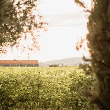 Dimora Buglioni Wine Relais مزرعة للإقامة سان بيترو في كاريانو