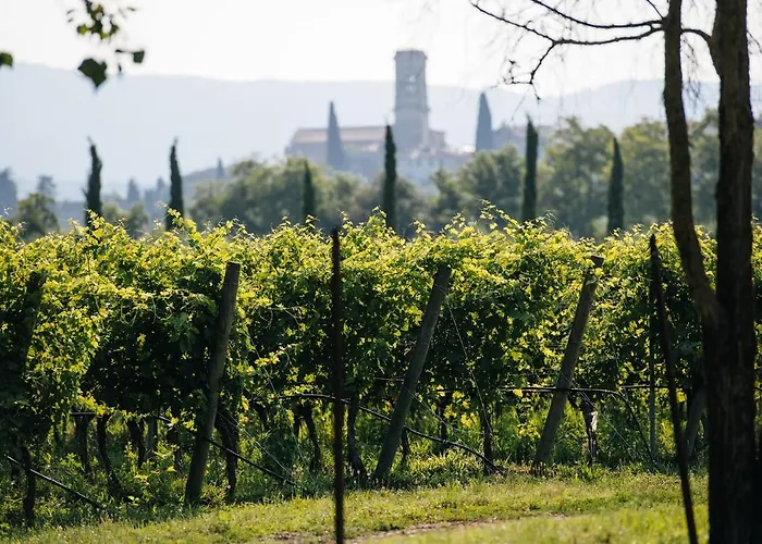 Dimora Buglioni Wine Relais サン・ピエトロ・イン・カリアーノ