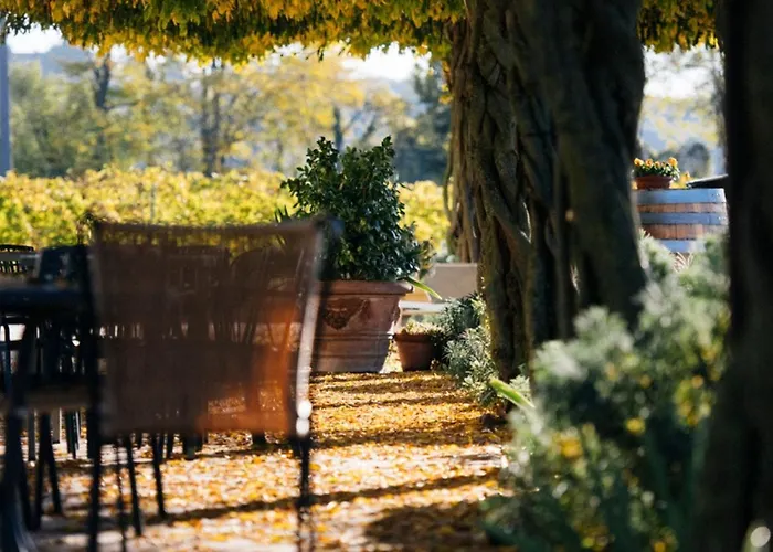 Dimora Buglioni Wine Relais * サン・ピエトロ・イン・カリアーノ