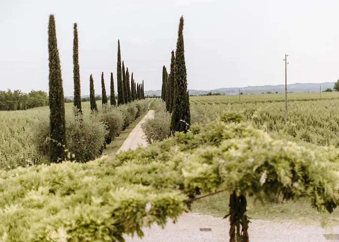 ファームステイ Dimora Buglioni Wine Relais サン・ピエトロ・イン・カリアーノ