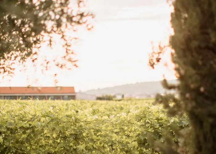 Dimora Buglioni Wine Relais Alloggio per agriturismo San Pietro In Cariano