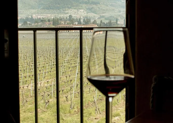 Alloggio per agriturismo Dimora Buglioni Wine Relais San Pietro In Cariano